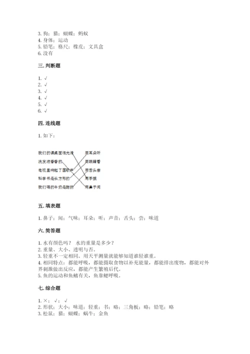 教科版一年级下册科学期末测试卷精品（典优）.docx