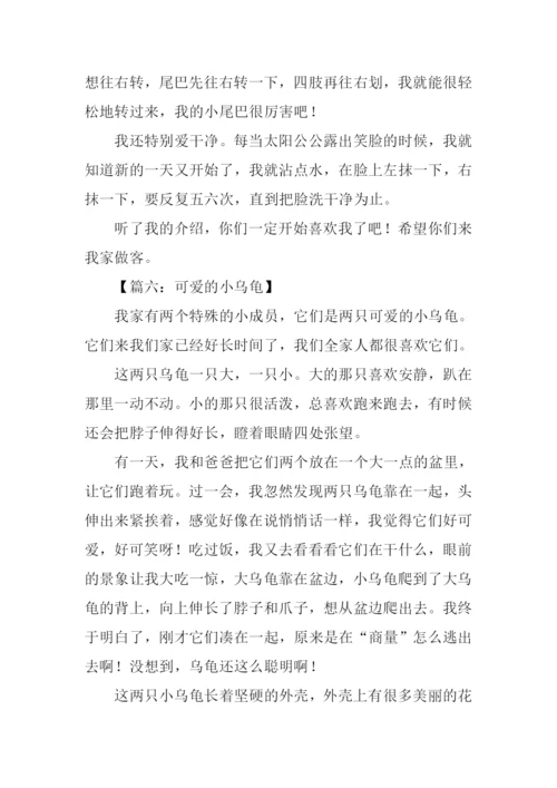 小乌龟的作文.docx