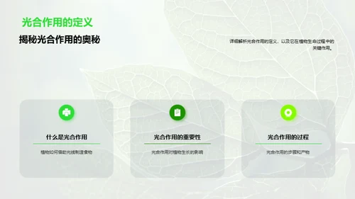 探秘植物的生命之旅