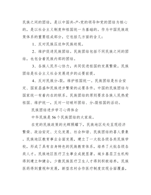 民族团结进步学习心得体会.docx