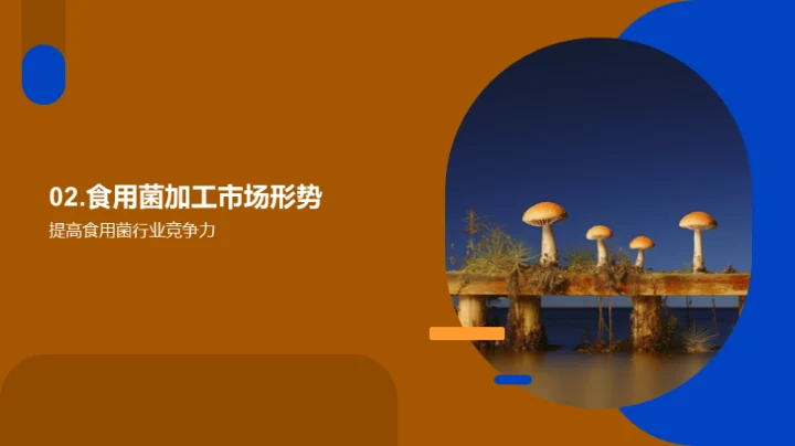 食用菌市场：全面解析