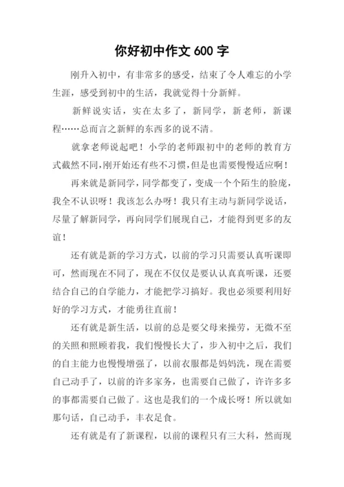 你好初中作文600字-11.docx