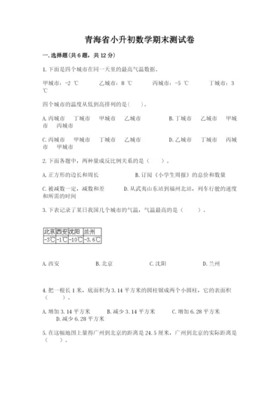 青海省小升初数学期末测试卷及一套完整答案.docx