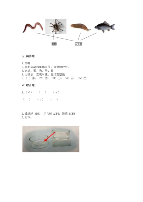 教科版一年级下册科学期末测试卷附答案（巩固）.docx