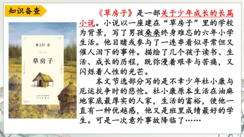 第17课《孤独之旅》课件