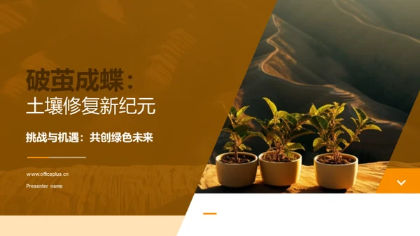 破茧成蝶：土壤修复新纪元