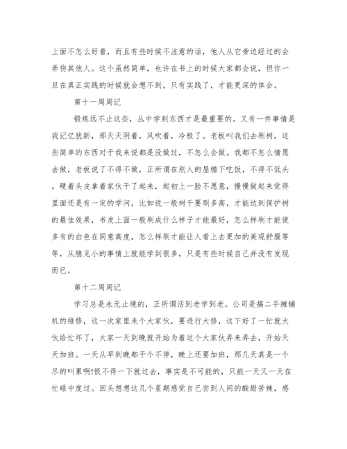 专科大学生实习周记20篇.docx