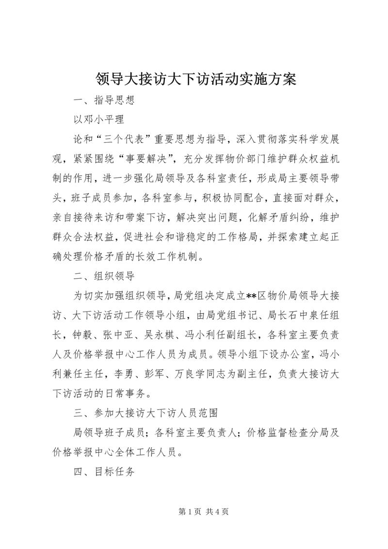 领导大接访大下访活动实施方案 (2).docx