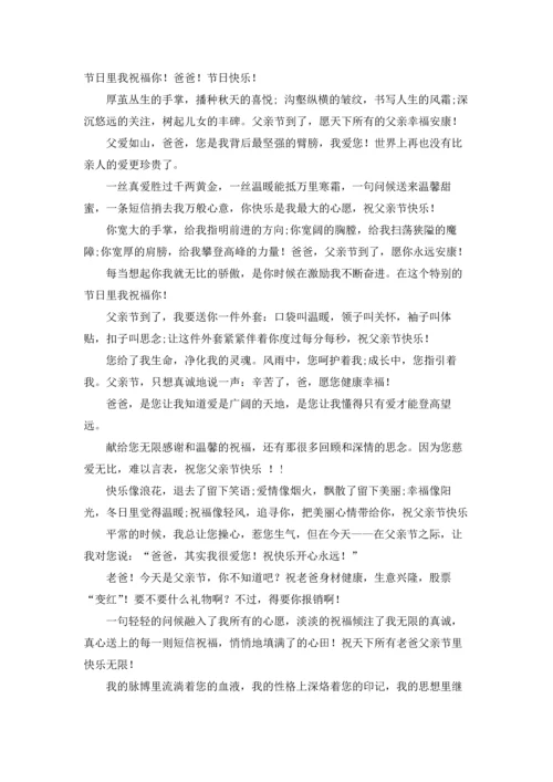 父亲节感恩话语五篇.docx