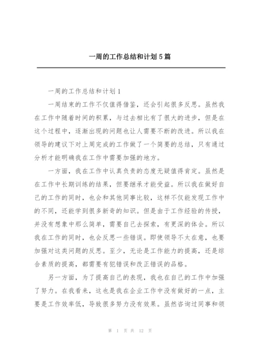 一周的工作总结和计划5篇.docx