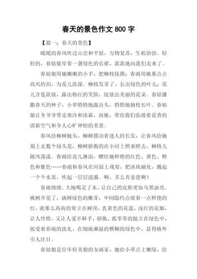 春天的景色作文800字.docx