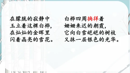 《11.白桦》课件