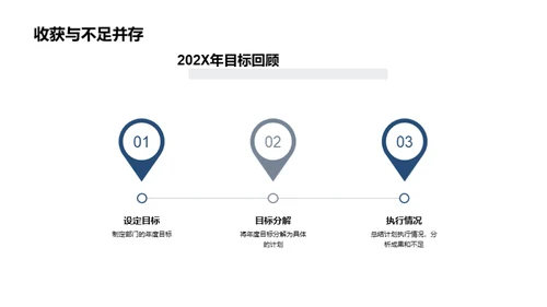 202X年度总结与展望