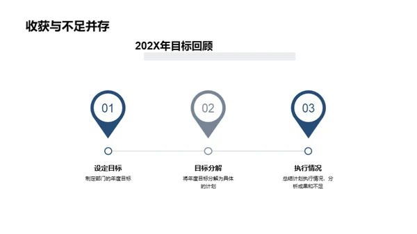 202X年度总结与展望