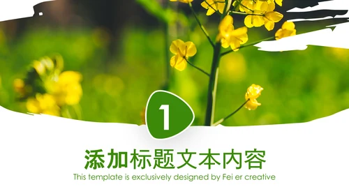 春天乡村旅游油菜花风景油菜花田PPT模板