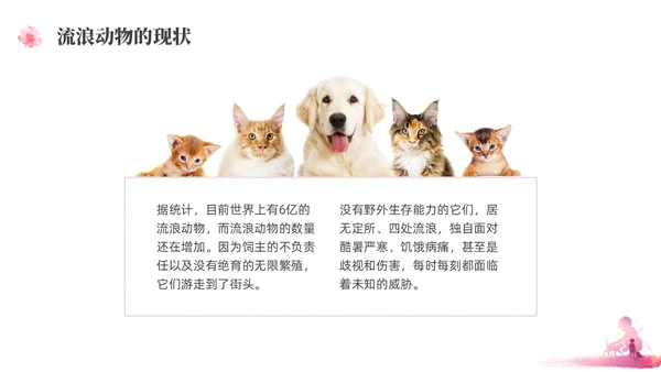 紫红色水彩简约关爱流浪动物宣传教育PPT课件