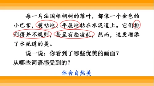 【同步课件】 5.铺满金色巴掌的水泥道   课件（2课时）