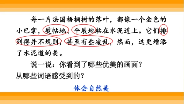 【同步课件】 5.铺满金色巴掌的水泥道   课件（2课时）