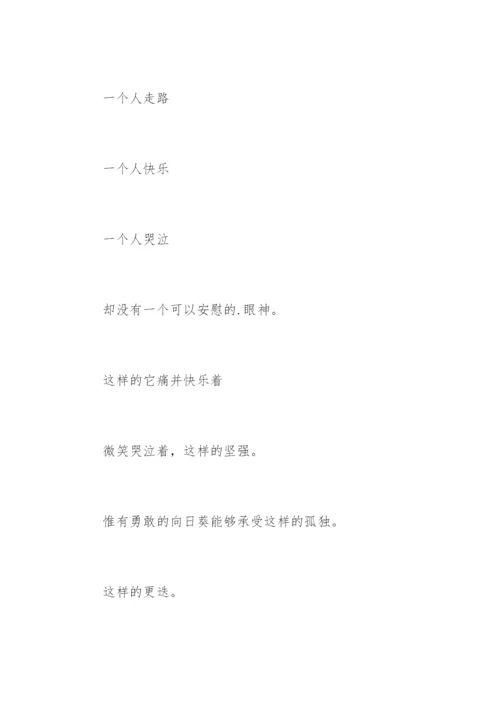 描写向日葵优美句子.docx