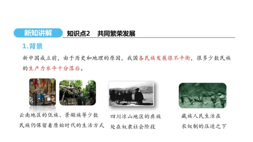 第12课 民族大团结  课件 2024-2025学年统编版八年级历史下册