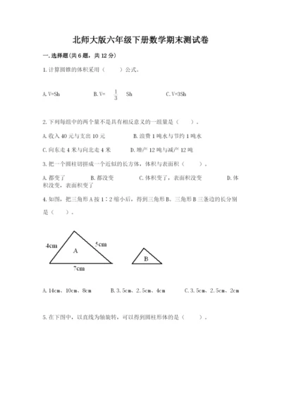 北师大版六年级下册数学期末测试卷带精品答案.docx