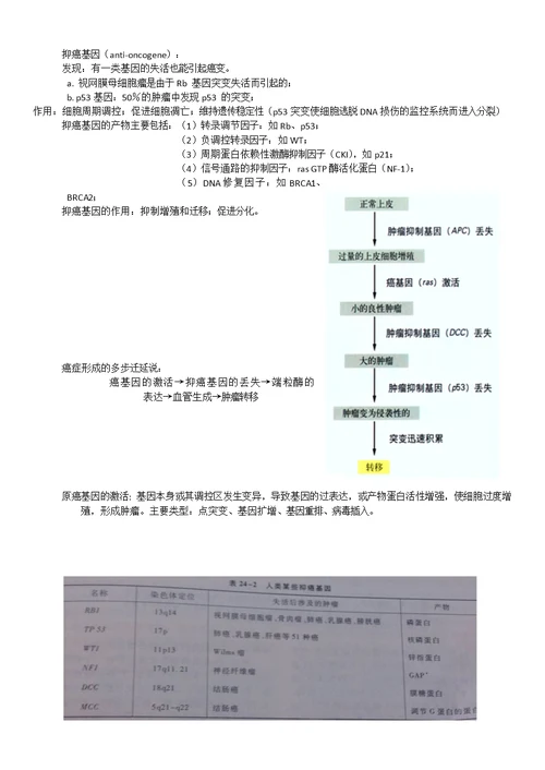 高中生物竞赛细胞的生活