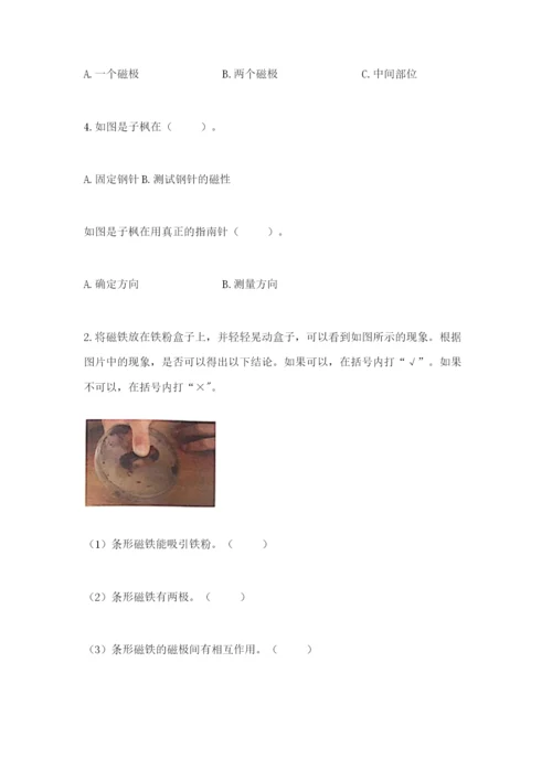 教科版小学科学二年级下册 期末测试卷（巩固）.docx