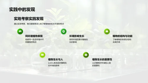 探秘植物生长