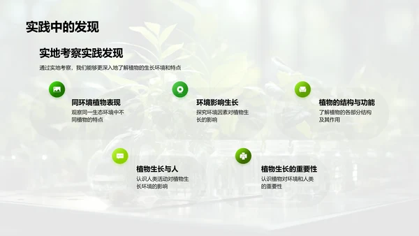 探秘植物生长