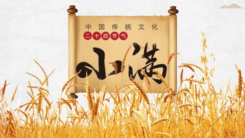 金色麦穗小满通用PPT模板