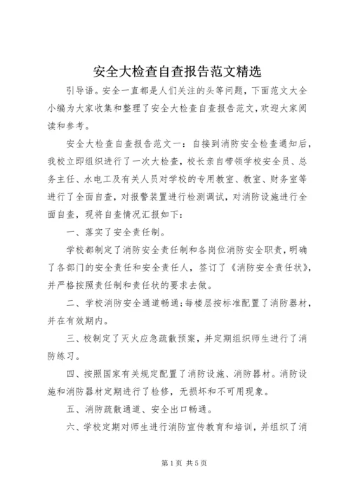安全大检查自查报告范文精选.docx