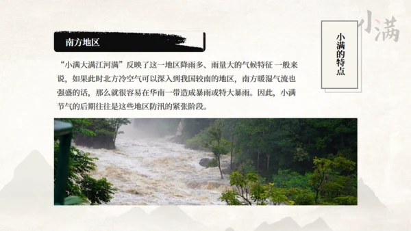 传统节气小满一抹绿色通用PPT模板