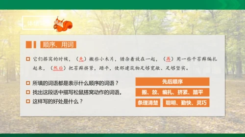 17 松鼠 第二课时课件