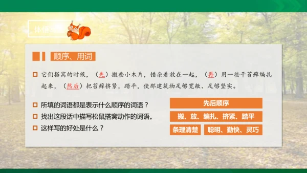 17 松鼠 第二课时课件
