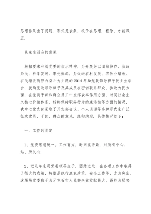 民主生活会的意见.docx