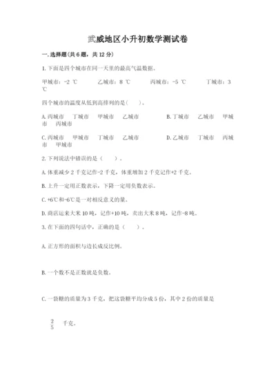 武威地区小升初数学测试卷及完整答案1套.docx