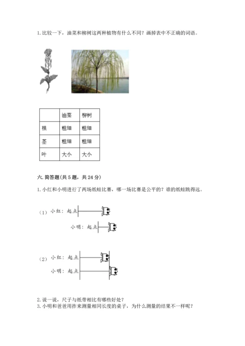 教科版一年级上册科学期末测试卷及参考答案【预热题】.docx