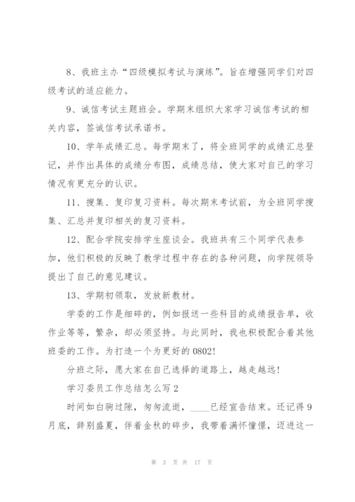 学习委员工作总结怎么写5篇.docx