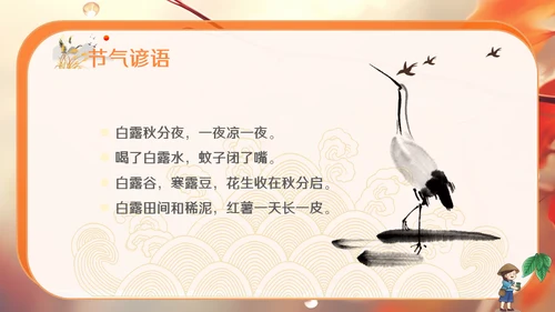秋色白露节气，秋意浓通用PPT模板