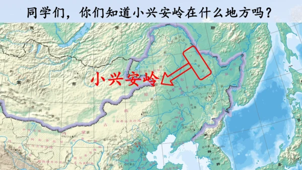 第20课《美丽的小兴安岭》课件