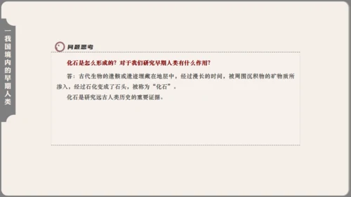 中学历史课人类起源《北京人》通用PPT模板