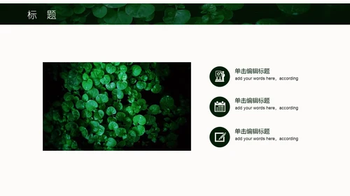 绿色叶子一叶一菩提通用PPT模板