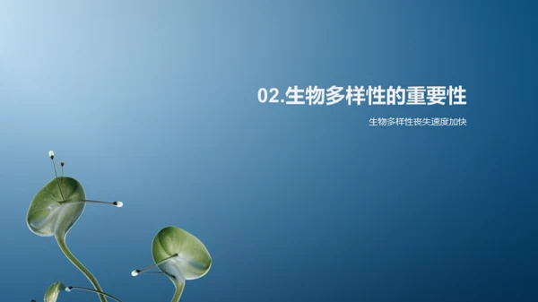 生命守护者：生物多样性