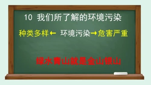 10.《我们所了解的环境污染》（第二课时）  课件