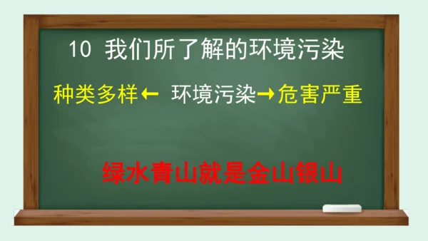 10.《我们所了解的环境污染》（第二课时）  课件