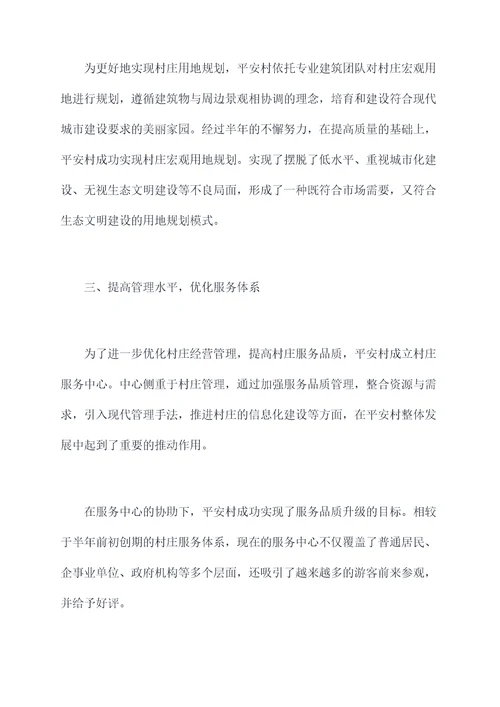 平安村创建半年度总结