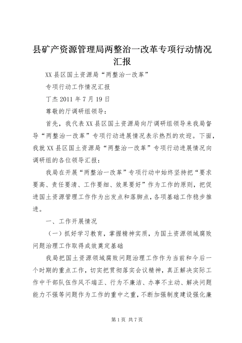 县矿产资源管理局两整治一改革专项行动情况汇报 (5).docx