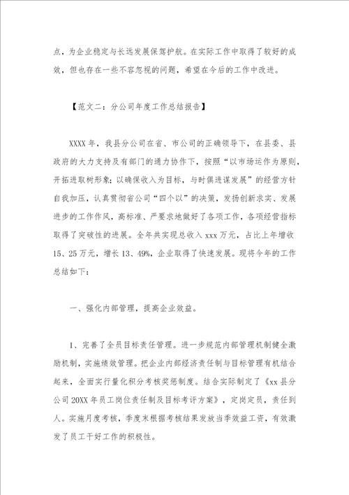 分公司年度总结报告
