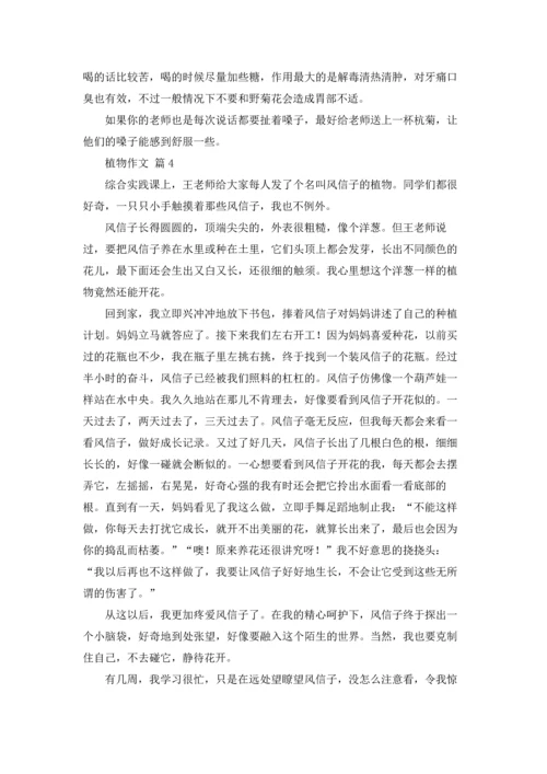 植物作文锦集4篇.docx