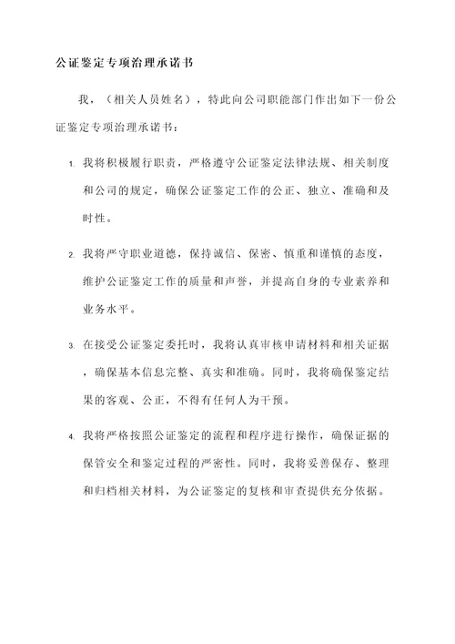 公证鉴定专项治理承诺书